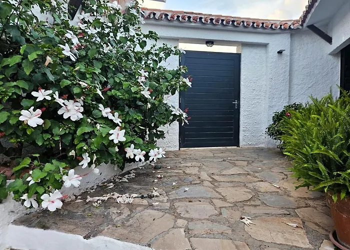 Golondrinas By Sol Maestranza * Marbella